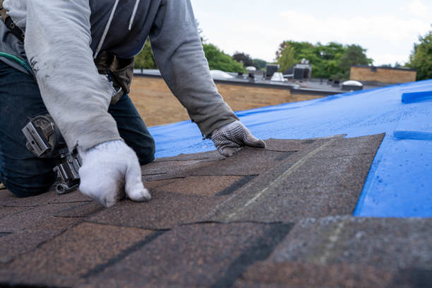 Best Roof Gutter Cleaning  in Breckenridge Hills, MO